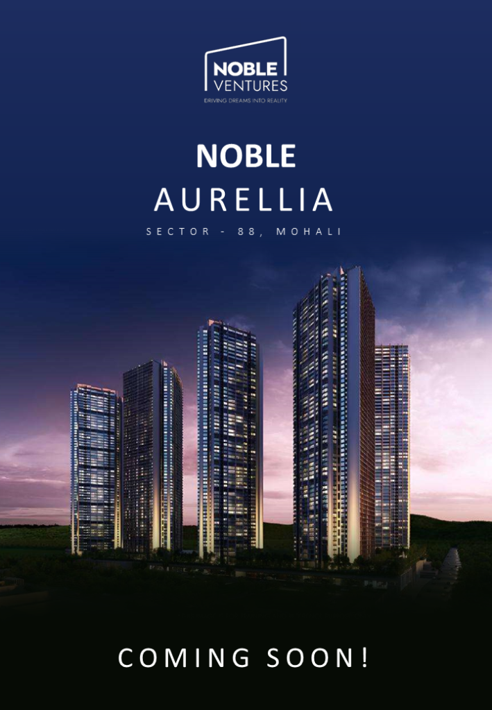 Noble Aurellia